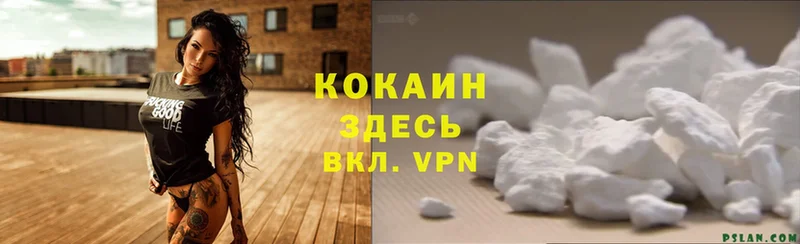 Cocaine Эквадор  Шумерля 